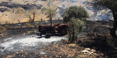 Üzüm ve badem bahçeleri küle döndü