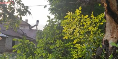 Çukurca’da fırtına çatıları uçurdu, ağaçları devirdi