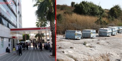 Kovanları çalarken arıların soktuğu genç öldü