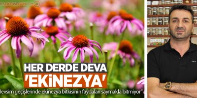 Her derde deva 'ekinezya'