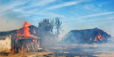 Hayvan çiftliği alev alev yandı