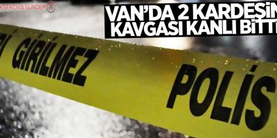 Van'da Kardeşlerin kavgası kanlı bitti