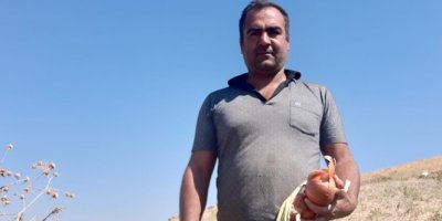 Soğan tarlada 30 kuruş, markette 2 buçuk lira