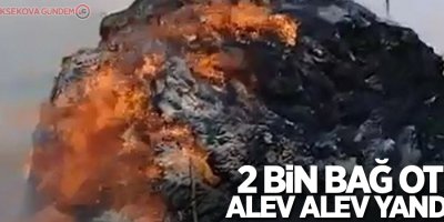 2 bin bağ ot alev alev yandı