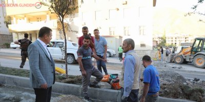 Hakkarililere doğalgaz müjdesi