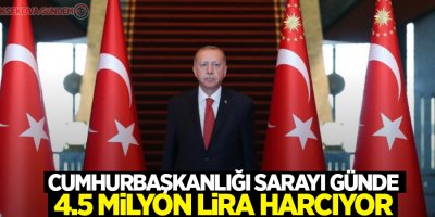 Cumhurbaşkanlığı Sarayı günde 4.5 milyon lira harcıyor
