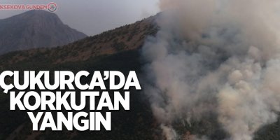 Akkaya köyünde orman yangını çıktı