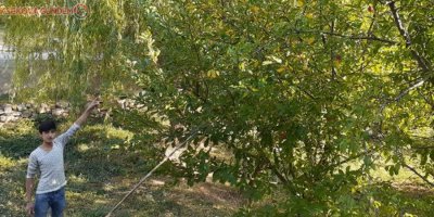 Elektrik telleri tehlike saçıyor