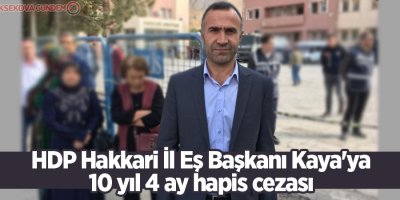 HDP Hakkari İl Eş Başkanı Kaya'ya 10 yıl 4 ay hapis cezası