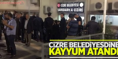 Cizre Belediyesi'ne de kayyum atandı