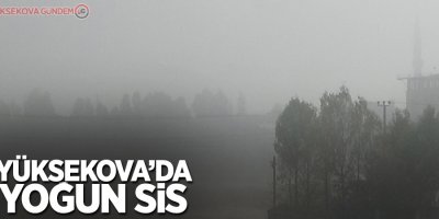 Yüksekova'da yoğun sis