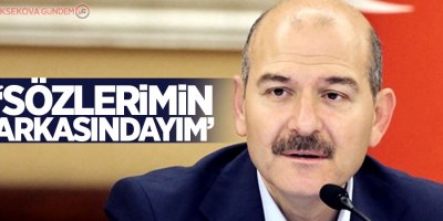 Soylu'dan 'ahmak' açıklaması: Sözlerimin arkasındayım