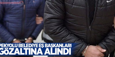 İpekyolu Belediye Eş Başkanları gözaltına alındı