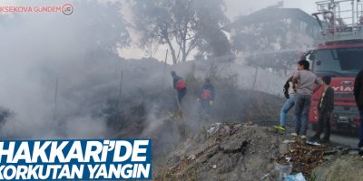 Hakkari’de anız yangını korkuttu