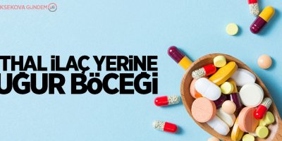 İthal ilaç yerine uğur böceği