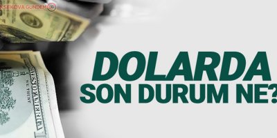 Dolar haftaya artışla başladı