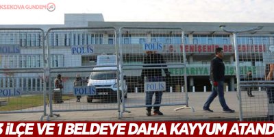 3 ilçe ve 1 beldeye daha kayyum atandı