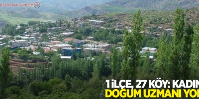 1 ilçe, 27 köy: Kadın doğum uzmanı yok