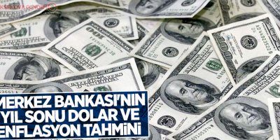 Merkez bankası'nın yıl sonu dolar ve enflasyon tahmini