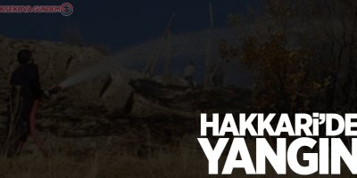 Hakkari Kırıkdağ mezarlığında yangın çıktı