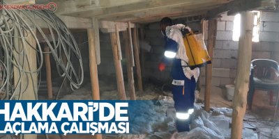 Hakkari’de ilaçlama çalışması