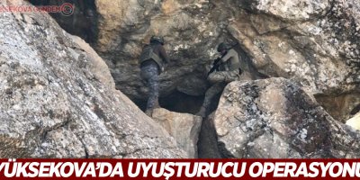 Yüksekova’da uyuşturucu ele geçirildi