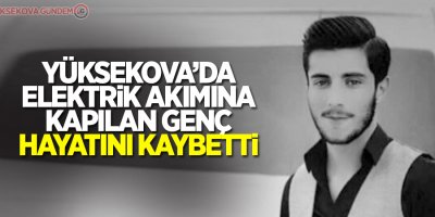 Elektrik akımına kapılan genç, hayatını kaybetti