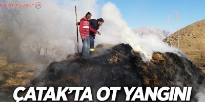 Çatak’ta ot yangını