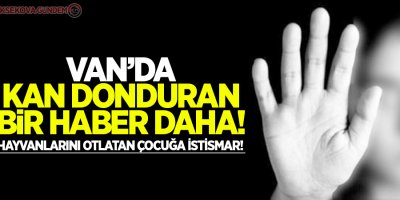 Van'da kan donduran bir haber daha!