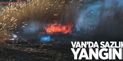 Muradiye'de sazlık yangını