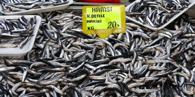 Karadeniz hamsisinin kilogram fiyatında düşüş sürüyor