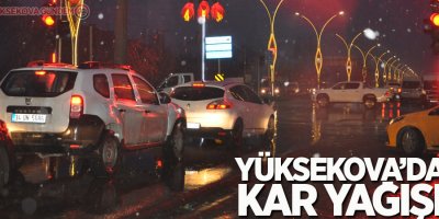 Yüksekova'da kar yağışı