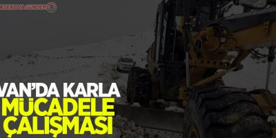 Van'da karla mücadele çalışması