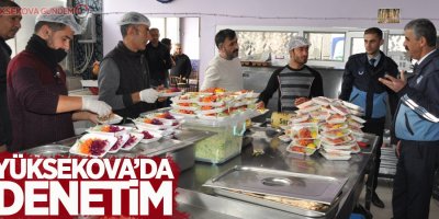 Yüksekova’da denetim