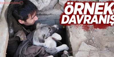 Duyarlı vatandaş kuyuya düşen köpeği kurtardı
