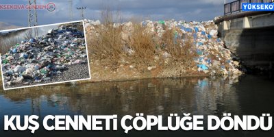 Yüksekova: Kuş cenneti çöplüğe döndü!