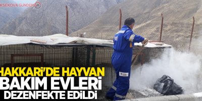 Hakkari'de hayvan bakım evleri dezenfekte edildi
