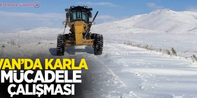 Van’da karla mücadele çalışması