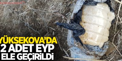 Yüksekova’da 2 adet EYP ele geçirildi