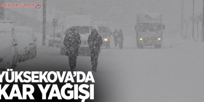 Yüksekova’da kar yağışı