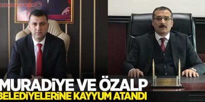 Muradiye ve Özalp belediyelerine kayyum atandı