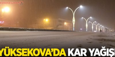Yüksekova'da kar yağışı