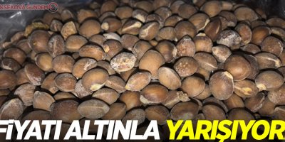 Fiyatı altınla yarışıyor!