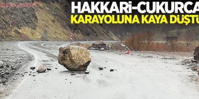Hakkari-Çukurca karayoluna kaya düştü