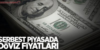Serbest piyasada döviz fiyatları
