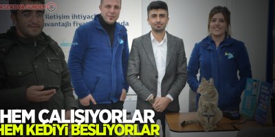 Hem çalışıyorlar, Hem kediyi besliyorlar