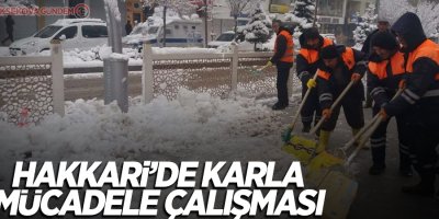 Hakkari’de karla mücadele çalışması