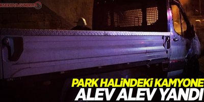 Park halindeki kamyonet alev alev yandı