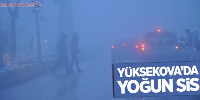 Yüksekova'da yoğun sis