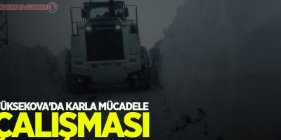 Yüksekova'da karla mücadele çalışması